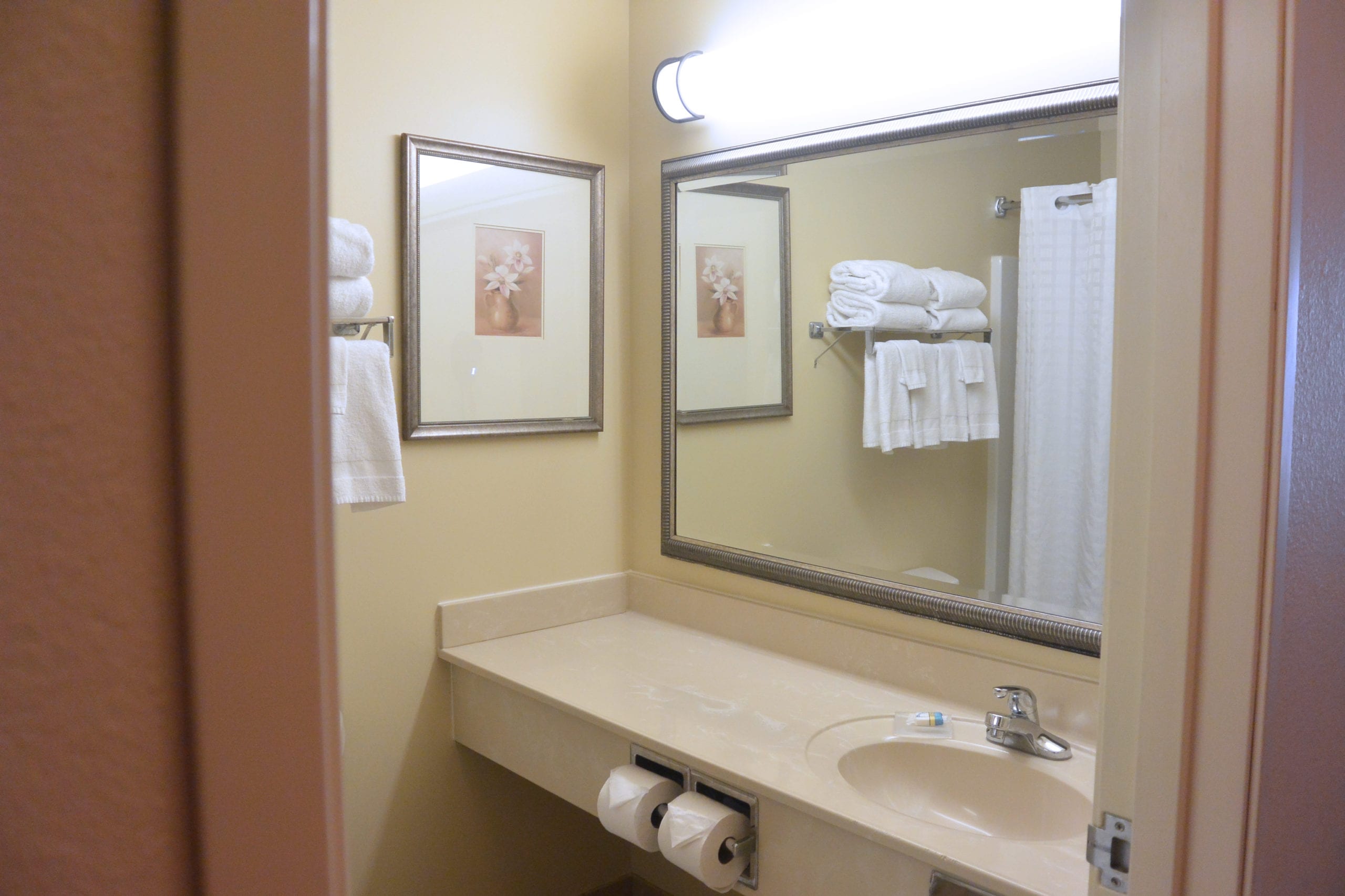 Country Inn & Suites Peoria Standard Bathroom