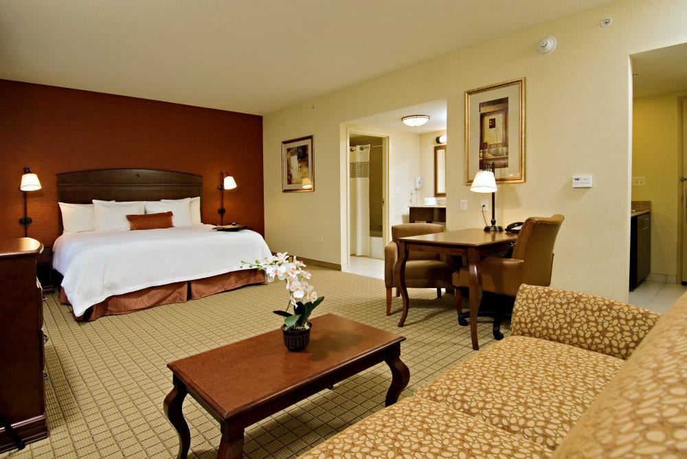 Hampton Inn & Suites Peoria King Suite